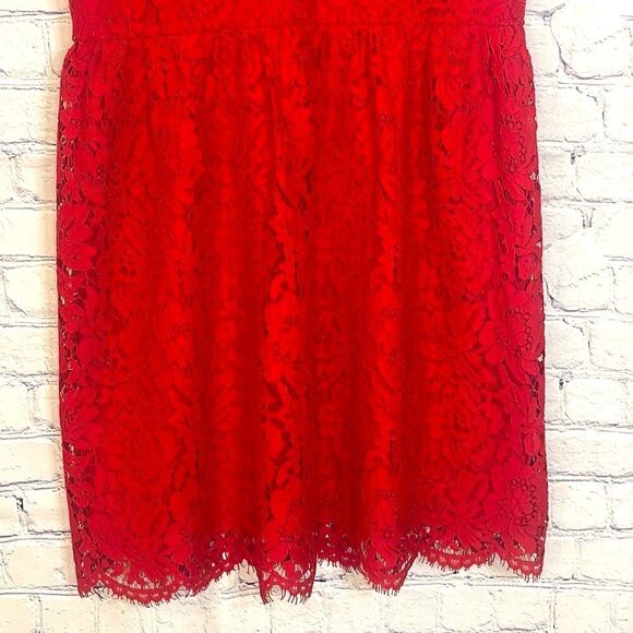 Loft Outlet Lace Dress - Picture 3 of 7